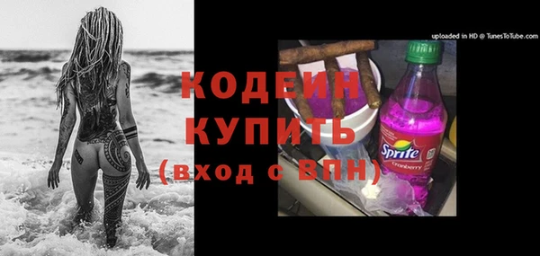 спиды Лиски