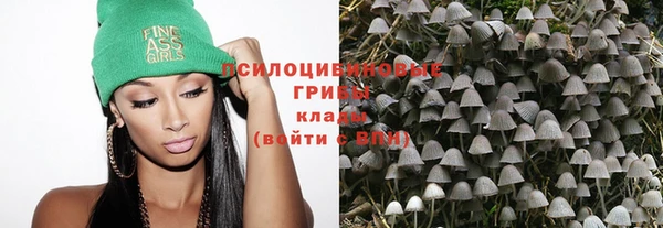 спиды Лиски